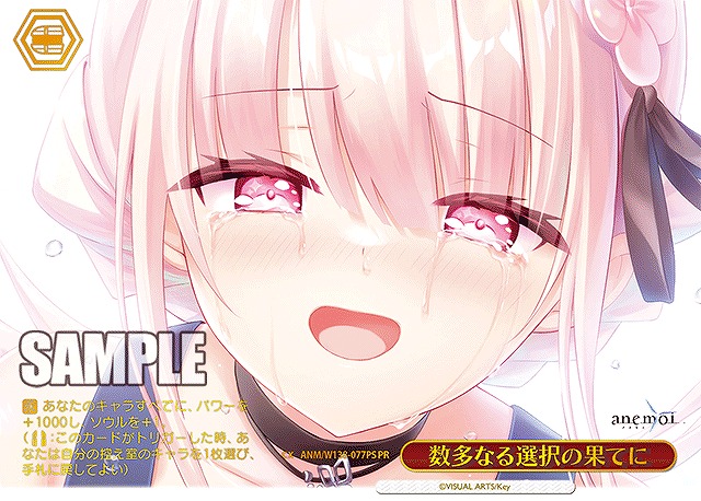 数多なる選択の果てに (PRP) 【ANM/W138-077PRP】